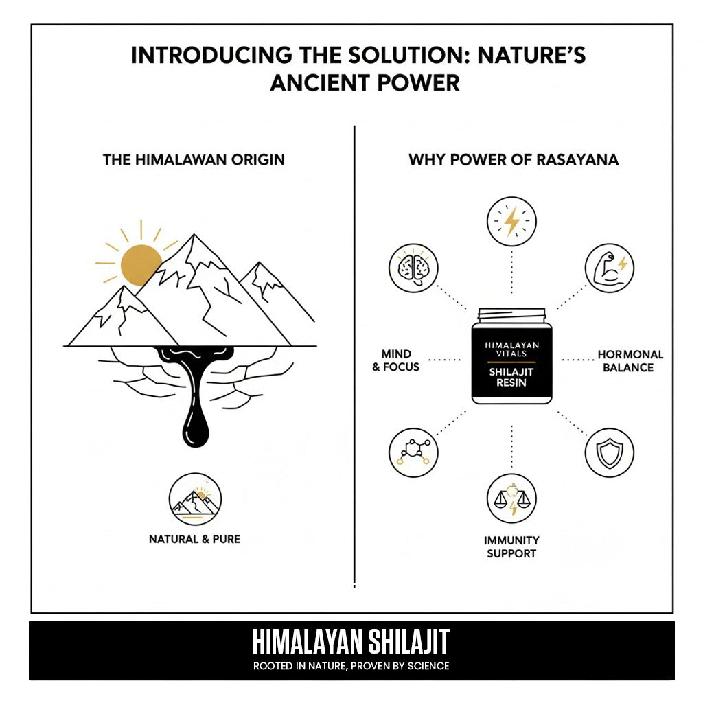 Shilajit Effects & Safety: Simple, Clear Guidance for Everyday Use You Can Trust
