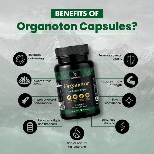 Organotan, Shilajit Multivitamin Capsules for men, 60 serving